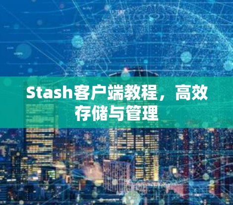 Stash客户端教程，高效存储与管理
