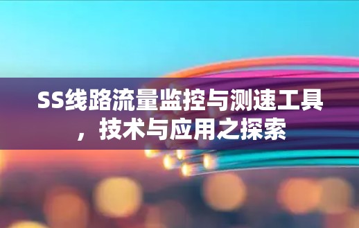SS线路流量监控与测速工具，技术与应用之探索