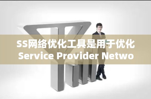 SS网络优化工具是用于优化Service Provider Network(SSN)的工具,旨在提高客户满意度和网络性能。以下是对这些工具的详细总结 SS网络优化工具是用于优化Service Provider Network(SSN)的工具,旨在提高客户满意度和网络性能。以下是对这些工具的详细总结