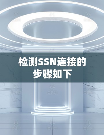 检测SSN连接的步骤如下 检测SSN连接的步骤如下