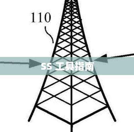SS 工具指南 SS 工具指南