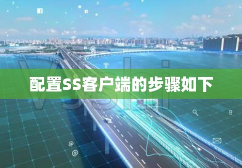配置SS客户端的步骤如下 配置SS客户端的步骤如下