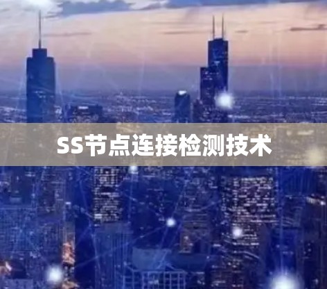 SS节点连接检测技术 SS节点连接检测技术