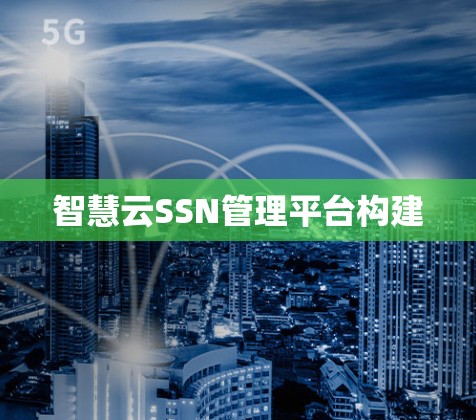 智慧云SSN管理平台构建 智慧云SSN管理平台构建