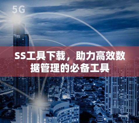 SS工具下载,助力高效数据管理的必备工具 SS工具下载,助力高效数据管理的必备工具