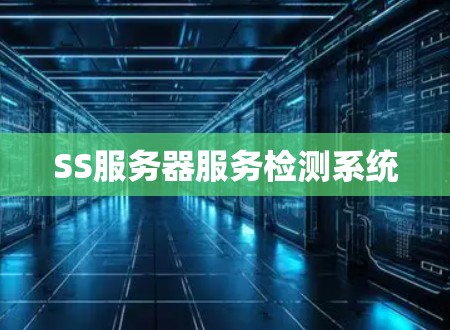 SS服务器服务检测系统 SS服务器服务检测系统