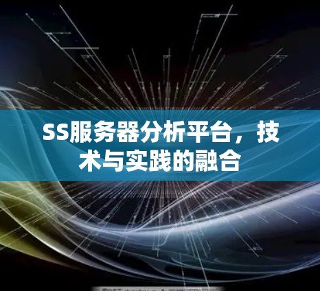 SS服务器分析平台,技术与实践的融合 SS服务器分析平台,技术与实践的融合