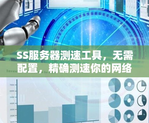 SS服务器测速工具,无需配置,精确测速你的网络性能 SS服务器测速工具,无需配置,精确测速你的网络性能