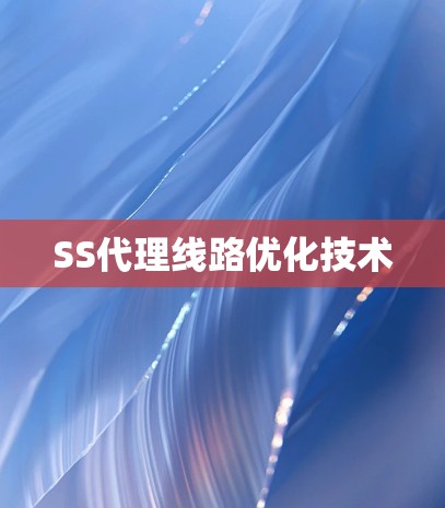 SS代理线路优化技术 SS代理线路优化技术