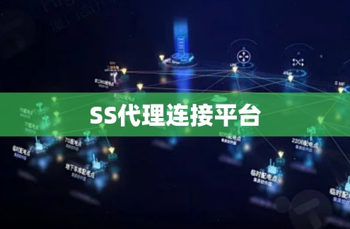 SS代理连接平台 SS代理连接平台