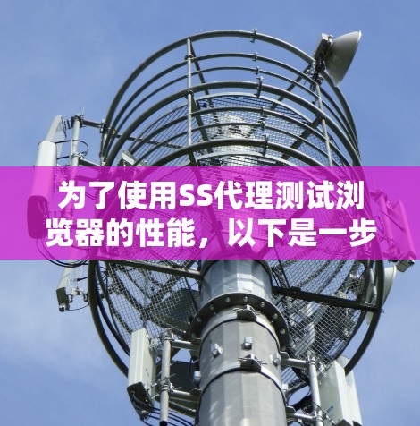 为了使用SS代理测试浏览器的性能,以下是一步步的指南 为了使用SS代理测试浏览器的性能,以下是一步步的指南