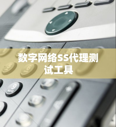 数字网络SS代理测试工具