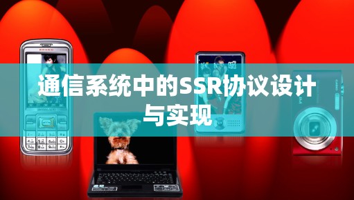 通信系统中的SSR协议设计与实现 通信系统中的SSR协议设计与实现