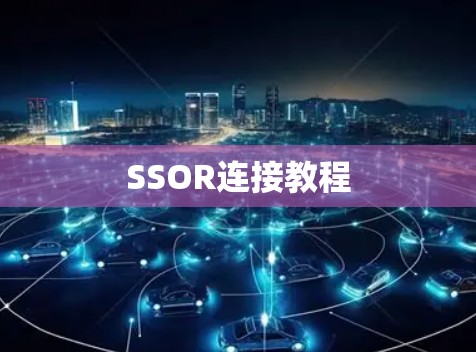SSOR连接教程 SSOR连接教程