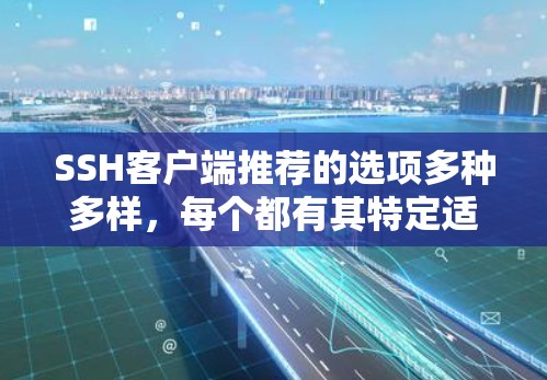 SSH客户端推荐的选项多种多样,每个都有其特定适用场景。以下是一些主要的推荐 SSH客户端推荐的选项多种多样,每个都有其特定适用场景。以下是一些主要的推荐