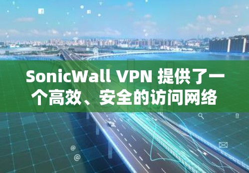 SonicWall VPN 提供了一个高效、安全的访问网络解决方案，特别适合企业用户。以下是对其企业访问体验的评测