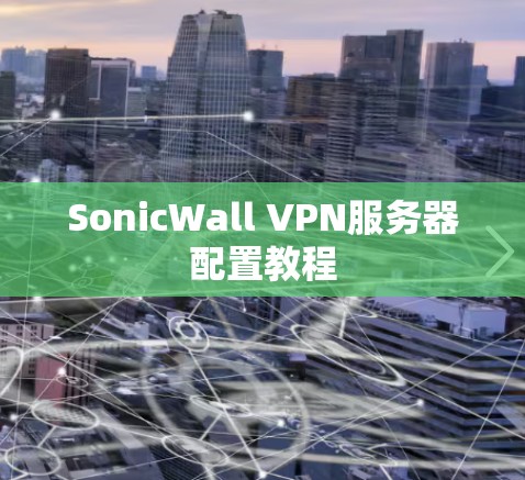 SonicWall VPN服务器配置教程 SonicWall VPN服务器配置教程
