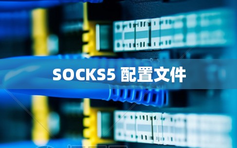 SOCKS5 配置文件 SOCKS5 配置文件