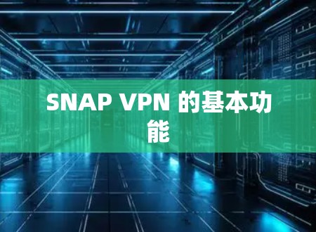 SNAP VPN 的基本功能 SNAP VPN 的基本功能