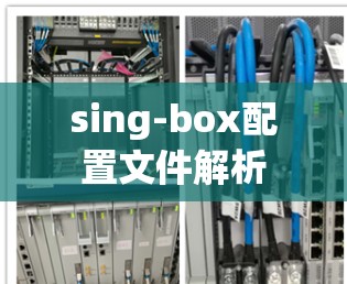 sing-box配置文件解析 sing-box配置文件解析