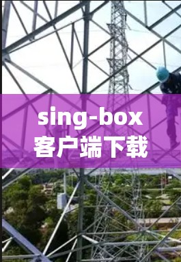 sing-box客户端下载指南,安全可靠安装的必经之路 sing-box客户端下载指南,安全可靠安装的必经之路