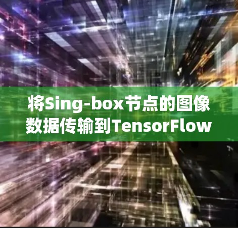 将Sing-box节点的图像数据传输到TensorFlow