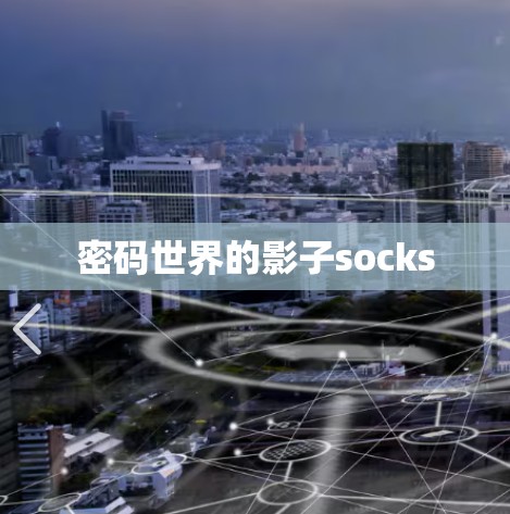 密码世界的影子socks 密码世界的影子socks