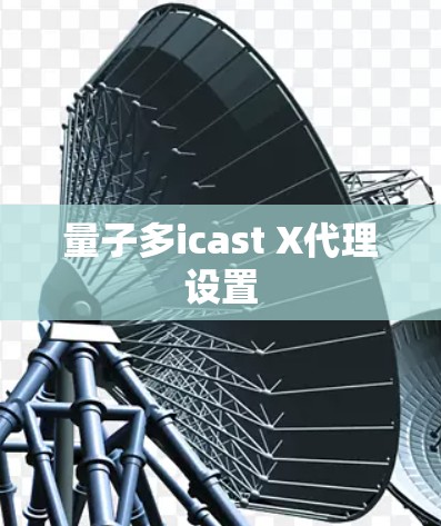 量子多icast X代理设置 量子多icast X代理设置