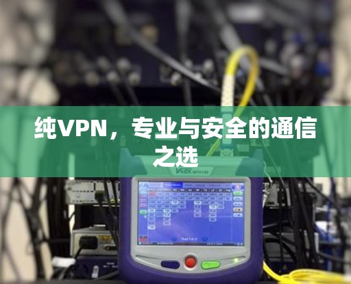 纯VPN,专业与安全的通信之选 纯VPN,专业与安全的通信之选