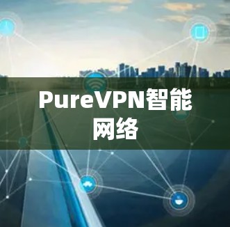 PureVPN智能网络 PureVPN智能网络