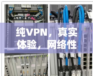 纯VPN,真实体验,网络性能与安全性,让你的网络之旅更安全可靠 纯VPN,真实体验,网络性能与安全性,让你的网络之旅更安全可靠