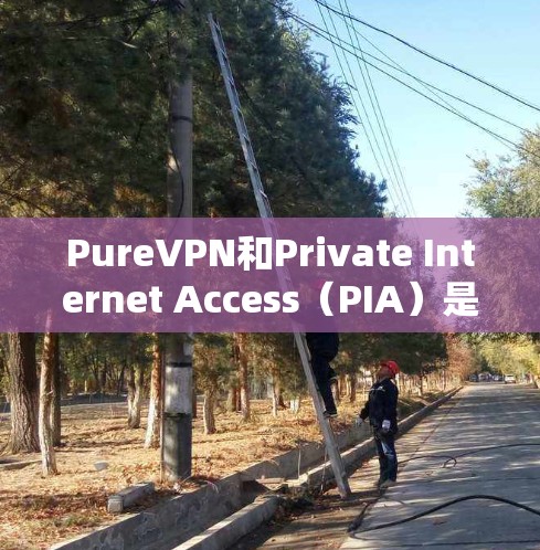 PureVPN和Private Internet Access(PIA)是两种不同的VPN服务,各有优缺点,适合不同的用户场景。以下是对它们的对比分析 PureVPN和Private Internet Access(PIA)是两种不同的VPN服务,各有优缺点,适合不同的用户场景。以下是对它们的对比分析