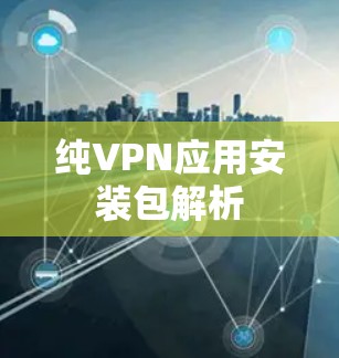 纯VPN应用安装包解析 纯VPN应用安装包解析