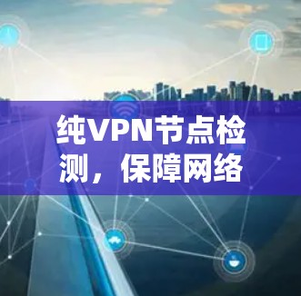 纯VPN节点检测,保障网络安全的必备工具 纯VPN节点检测,保障网络安全的必备工具