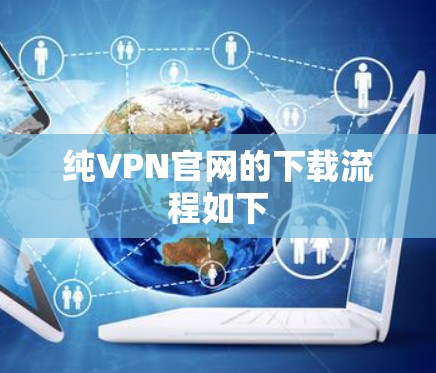 纯VPN官网的下载流程如下