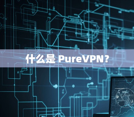 什么是 PureVPN？