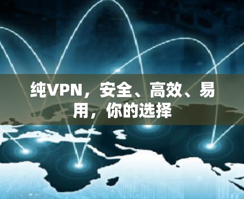 纯VPN,安全、高效、易用,你的选择 纯VPN,安全、高效、易用,你的选择