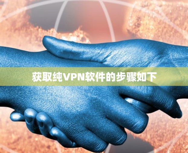 获取纯VPN软件的步骤如下