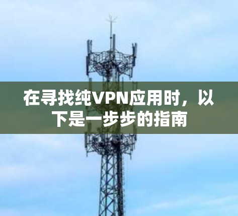 在寻找纯VPN应用时,以下是一步步的指南 在寻找纯VPN应用时,以下是一步步的指南