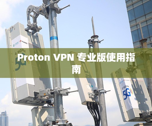 Proton VPN 专业版使用指南 Proton VPN 专业版使用指南