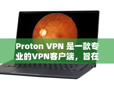 Proton VPN 是一款专业的VPN客户端，旨在提供安全、高效和个性化的VPN体验。以下是对 Proton VPN 的详细介绍