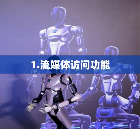 1.流媒体访问功能