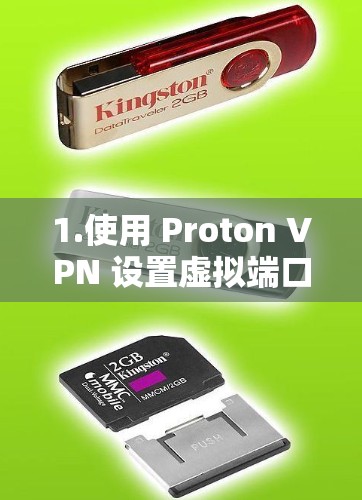 1.使用 Proton VPN 设置虚拟端口