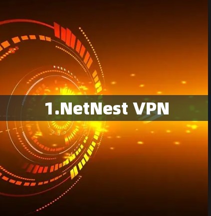 1.NetNest VPN 1.NetNest VPN