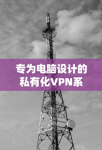 专为电脑设计的私有化VPN系统，安全可靠，兼容性强
