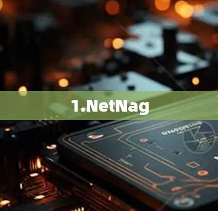 1.NetNag 1.NetNag