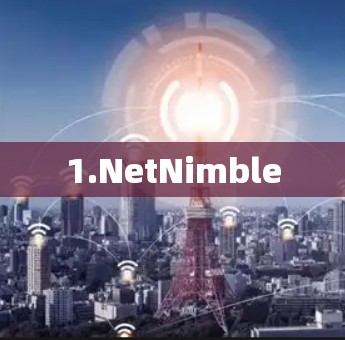 1.NetNimble 1.NetNimble