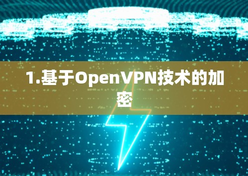 1.基于OpenVPN技术的加密 1.基于OpenVPN技术的加密