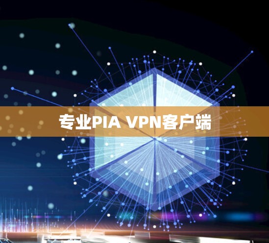 专业PIA VPN客户端 专业PIA VPN客户端