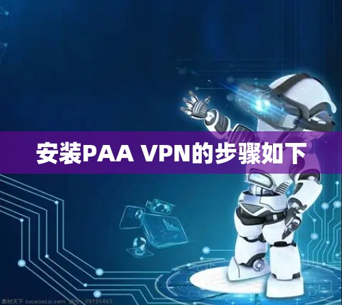 安装PAA VPN的步骤如下 安装PAA VPN的步骤如下